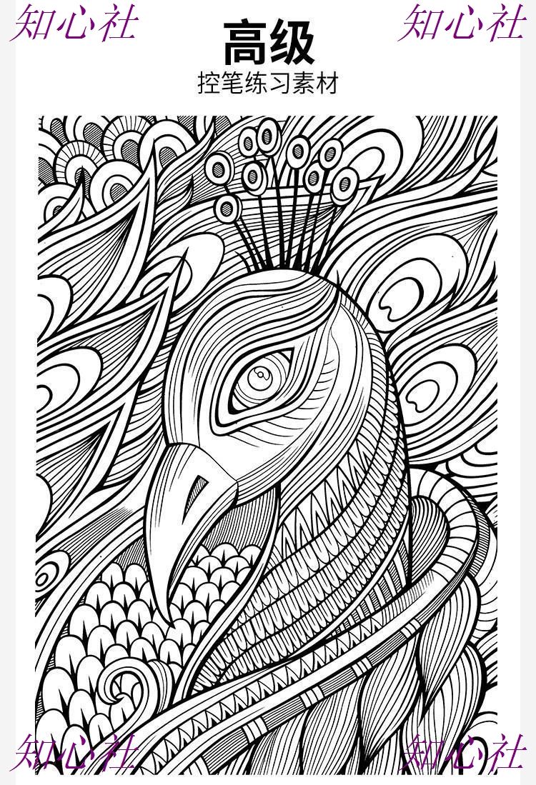 图片[12]-procreate勾线条控笔训练习SAI教程画世界ps插画ipad临摹素材模板