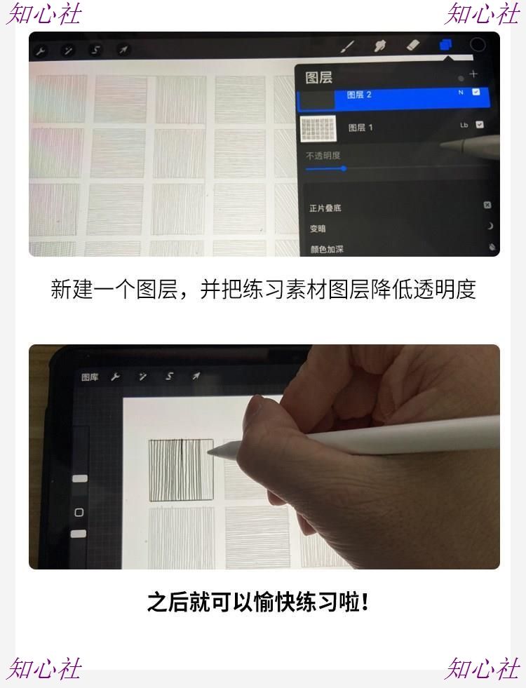 图片[4]-procreate勾线条控笔训练习SAI教程画世界ps插画ipad临摹素材模板