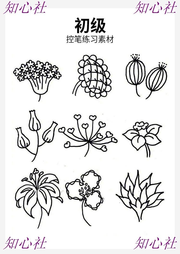 图片[9]-procreate勾线条控笔训练习SAI教程画世界ps插画ipad临摹素材模板